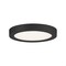 Quoizel Outskirts Flush Mount OST1708EK - alternate 1